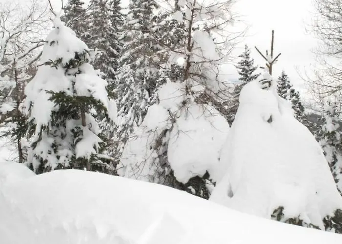 Almhaus Am Hohenwart By Interhome בית נופש Klippitztorl