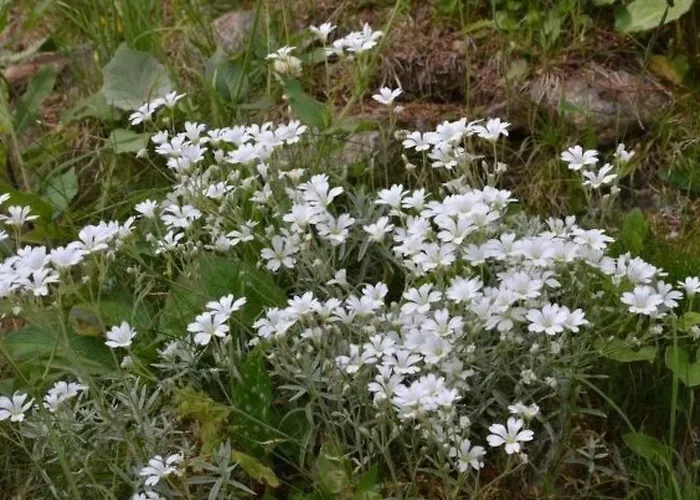 בית נופש Almhaus Am Hohenwart By Interhome